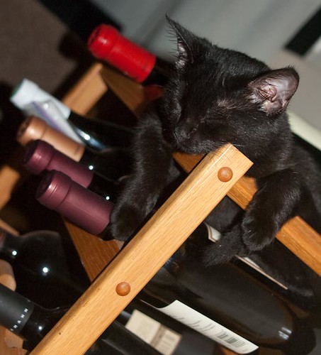 Hanging around wine...
