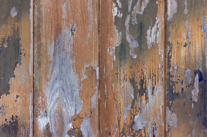 Green and Beige on Grey Wood Wooden Grunge Background