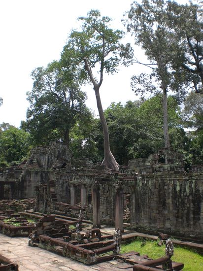 Angkor - Preah Khan (16) [550]