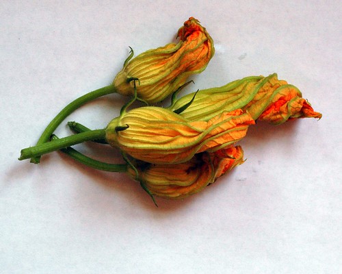 zucchini flowers