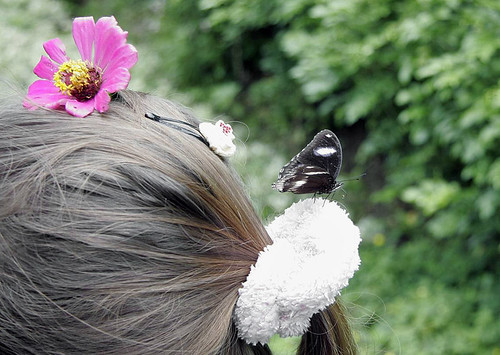 Butterfly landed on her head
