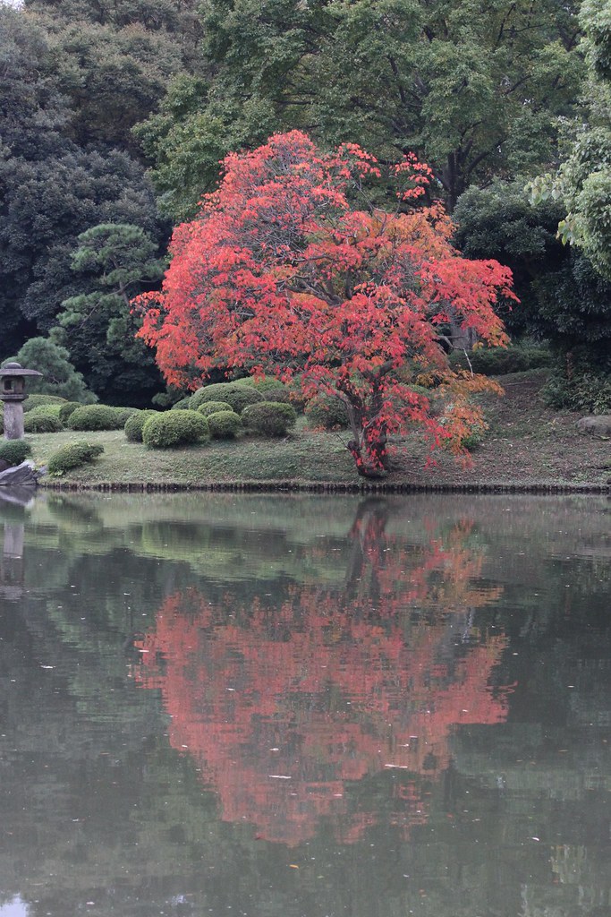 A Japan photo No.365:Sugamo