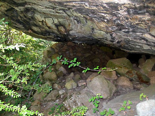 Grotte de Coracchia… et la végétation du coin