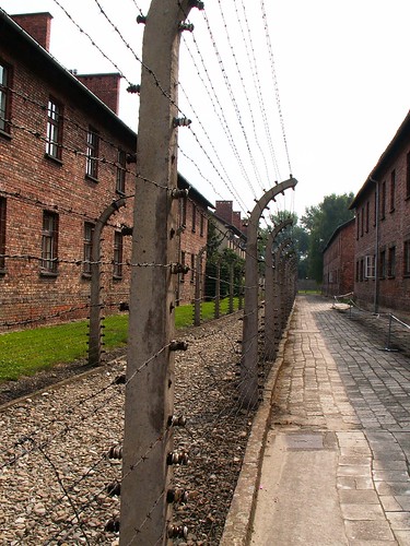 Auschwitz - Birkenau Concentration Camp - Along the barbed wire