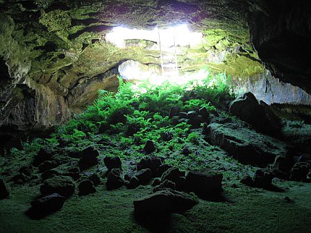 Fern Cave @ Lava Beds National Monument