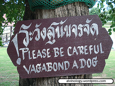 signboard warning of a dog