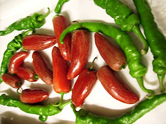 peppers0152