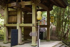 �Ɣn������(2)