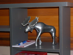 Our Chrome Canadian Moose