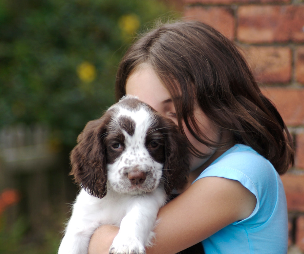 Puppy Love by smlp.co.uk, on Flickr