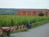 Weinbauer in der Rioja • <a style="font-size:0.8em;" href="http://www.flickr.com/photos/7955046@N02/680826751/" target="_blank">View on Flickr</a>