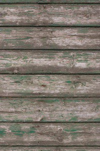 Green on Grey Timbers Wooden Grunge Background