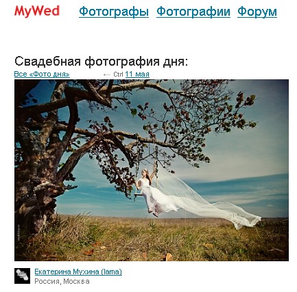 Photo of the day - Mywed.ru