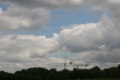 cranes, cumulus
