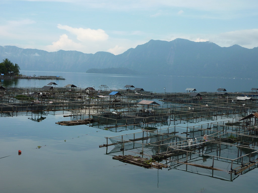 Sumatra-Lac Maninjau (95)
