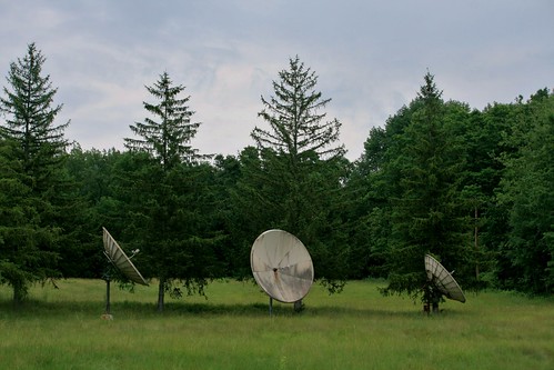 Massive satellite dishes by pine trees