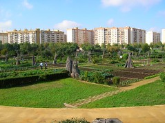 Parque de Miraflores (Sevilla). Verde sobre gris