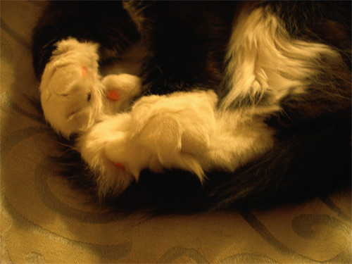 fuzzy toes