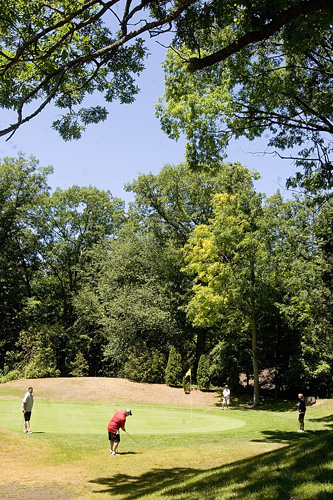 Oakwood's #8 has a hole lower than the hill, so longer pins were needed for golfers to see it