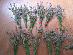 Rosemary and lavender
