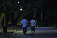 Night Park (by mrhayata)