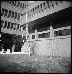 Building, University of Minnesota