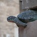 La tortuga que aguanta el monolito el Palma de Mallorca
