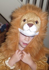 Michelle the Lion