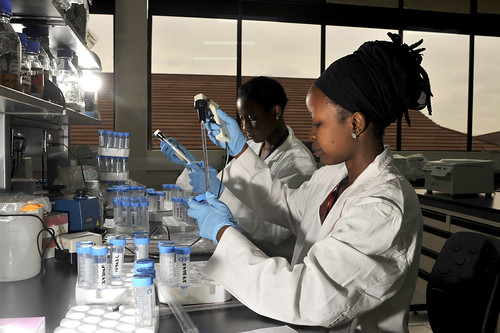 Biosciences eastern and central Africa hub platform