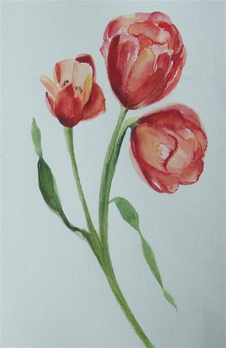 Shanti Marie - A Painting A Day: Tulips