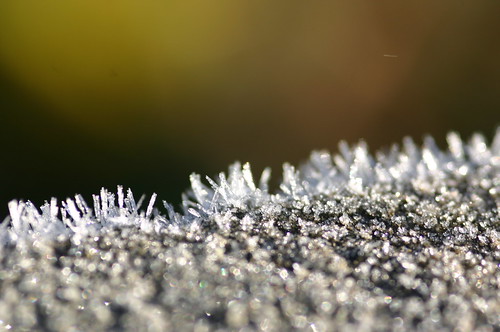 Haw Frost on a Stone Wall