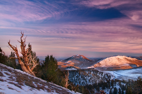 White Mountain Sunset