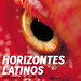 Cartel de Horizontes Latinos 2007 • <a style="font-size:0.8em;" href="http://www.flickr.com/photos/9512739@N04/1402987523/" target="_blank">View on Flickr</a>