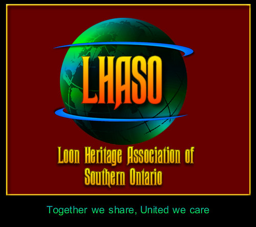 LHASO Logo