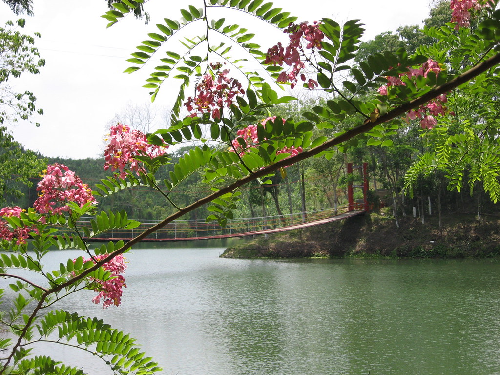 Meghla BEAUTIFUL BANGLADESH ! | Page 10 | SkyscraperCity Forum