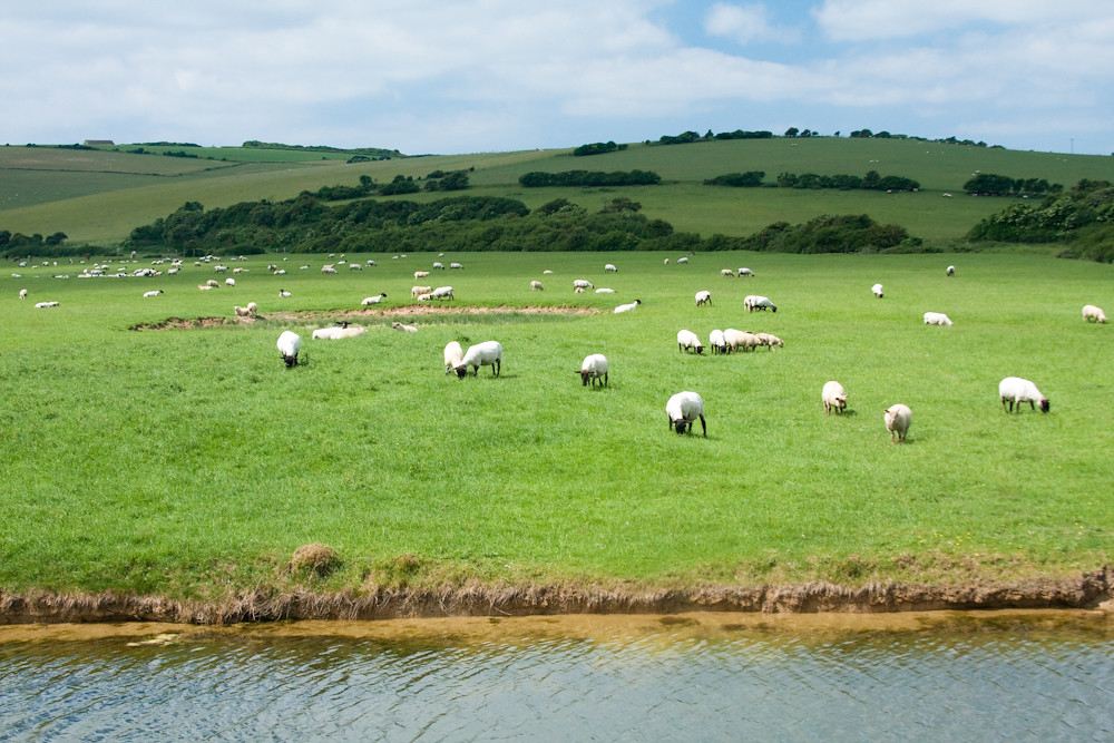 The Seven Sisters and Beachy Head - Time Out Country Walks near London