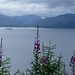 Lake - Scotland