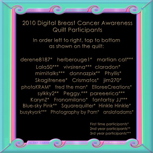 2010 quilt participants