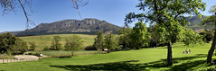 Picknicking at Groot Constantia