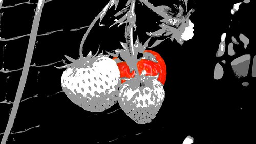 Strawberry-Altered-Alternate