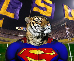 Superman LSU Tiger