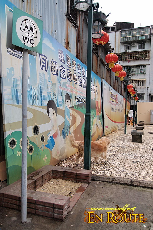 Macau Old Town Dog Park