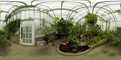 Wellesley College Greenhouse - 4