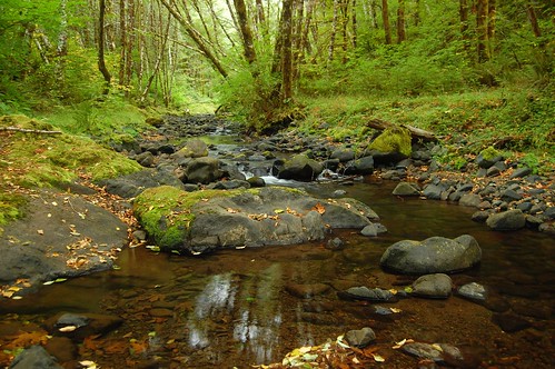 Gales Creek