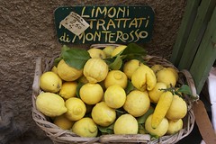 Monterosso, Italy, Lemons