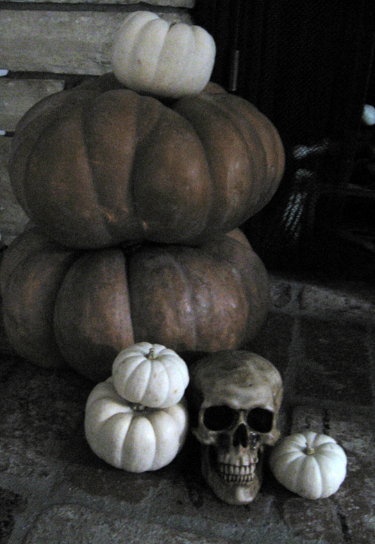 pumpkins+skull+halloween decor