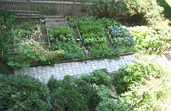 garden aerial