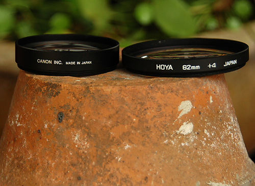 Canon 250D vs Hoya +4 -- side-by-side