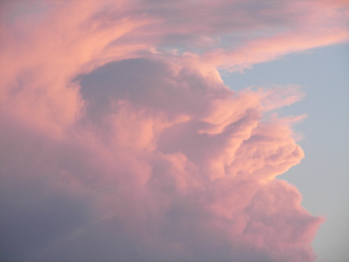 Nuvola rosa da *eily*.