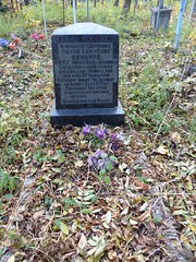 Lieutenant Edwards Grave